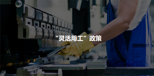 用工分析